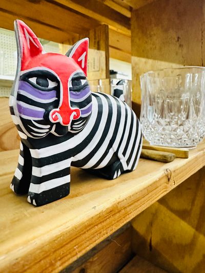 Zebra Cat